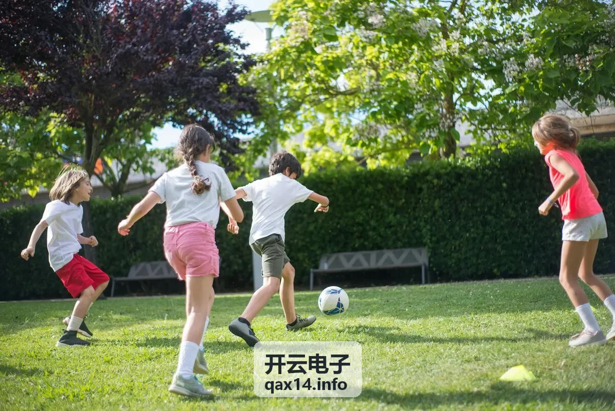 开云电子电子元器件选型参考